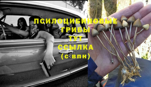 дурь Осташков