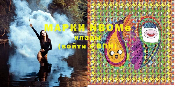 дурь Осташков