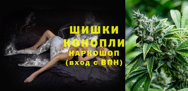 дурь Осташков