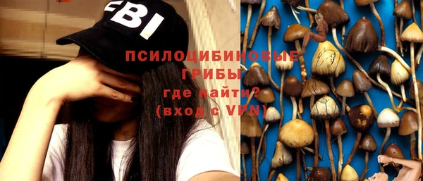 дурь Осташков