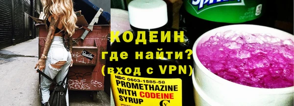 дурь Осташков